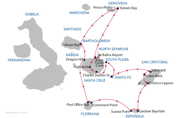 TOWER - 8 Days Cruise